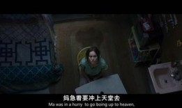 room电影在线观看,揭秘虚拟现实与真实世界的交错之旅